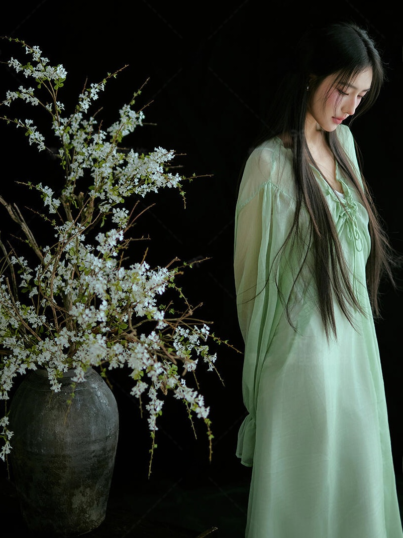 Chinese Style Green Dress Trad - огляд і ціна Ethnic Fashion Studio